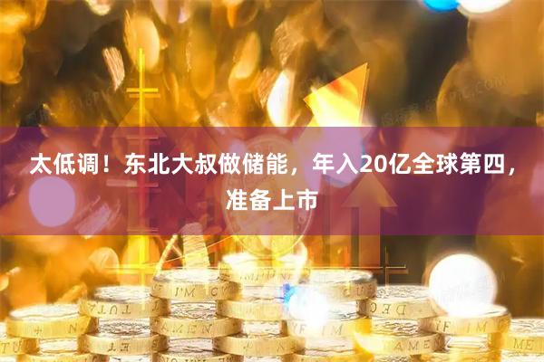 太低调！东北大叔做储能，年入20亿全球第四，准备上市